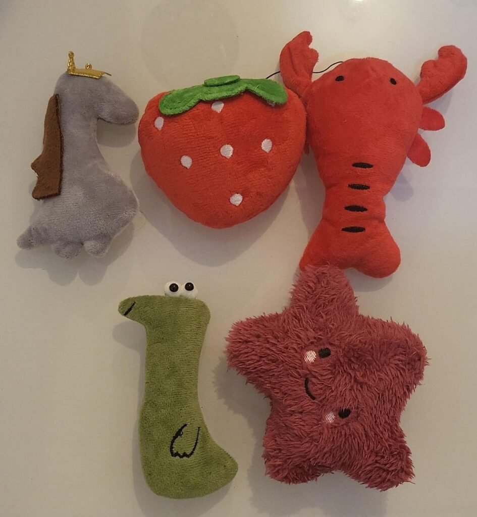 5 Random Squeaky Toys for Small Medium Dog