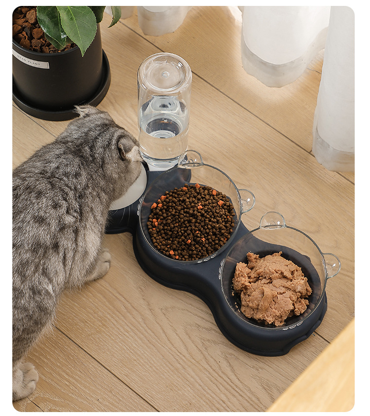 Pet Bowl Automatic Feeder 3-in-1 - Image 3