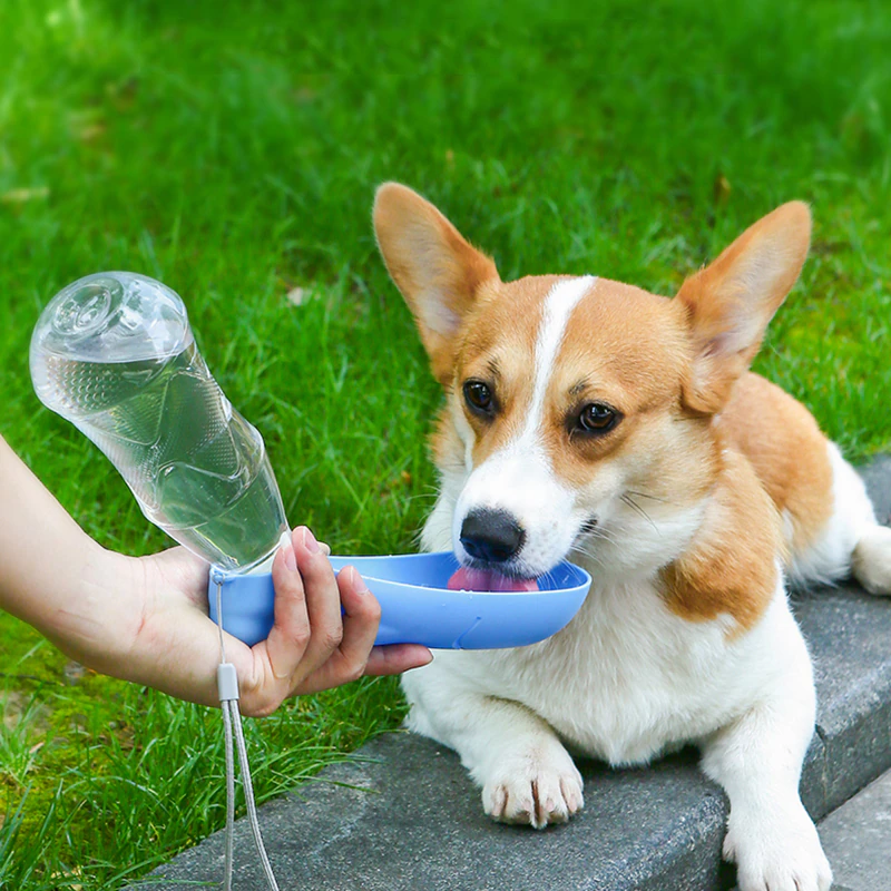 450ml Portable Dog Water Bottle - Image 5