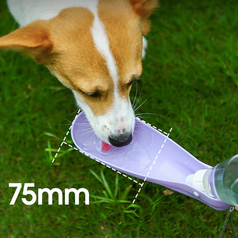 450ml Portable Dog Water Bottle - Image 2