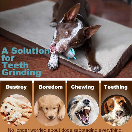 Dog Chew Toy, Slow Feeder/IQ Training/Playing - Image 4