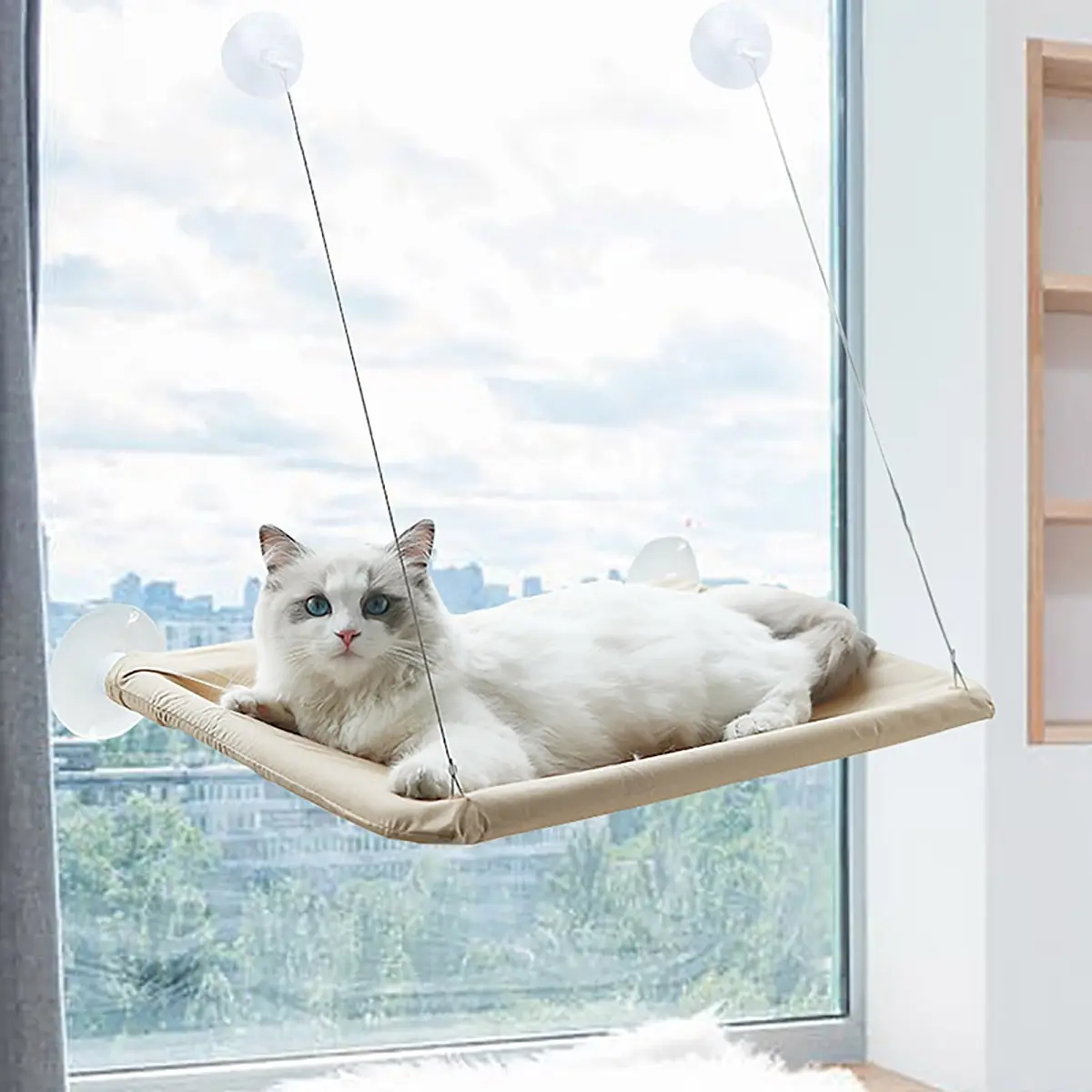 Cat hammock window