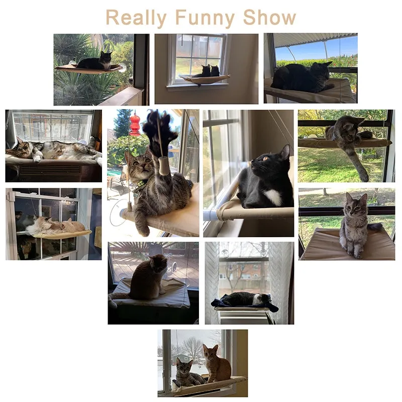 Cat hammock window - Image 4