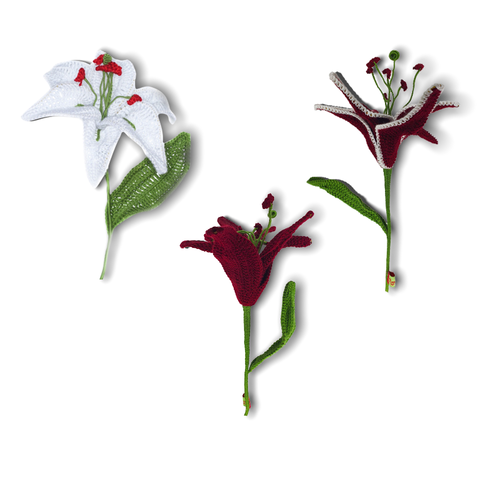 Lily Shape Crochet Flower by Florchet